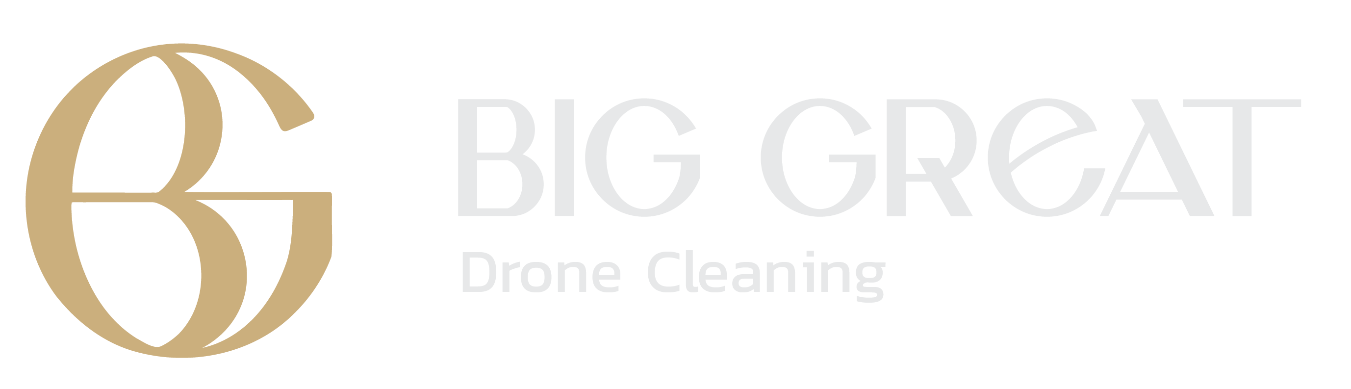 Big Great Drone Cleaning