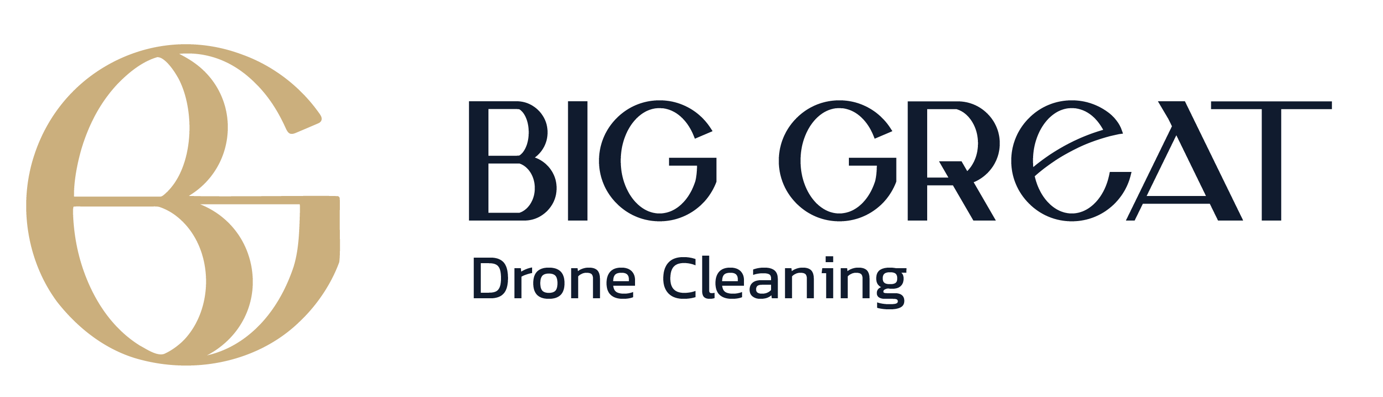 Big Great Drone Cleaning